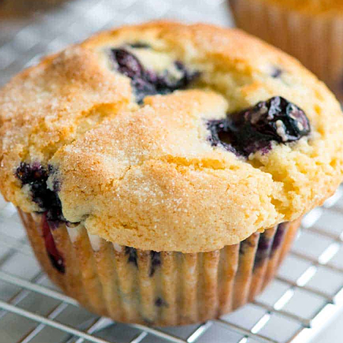 Jordan Marsh Blueberry Muffins