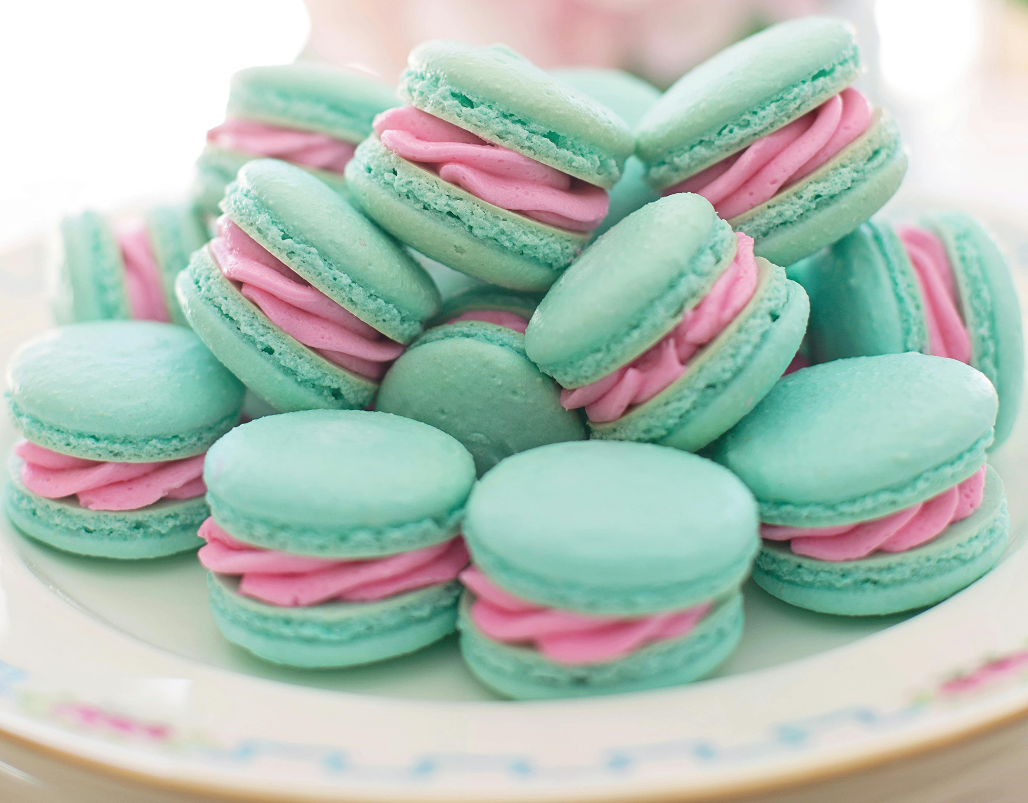 Carole Roche Recipes