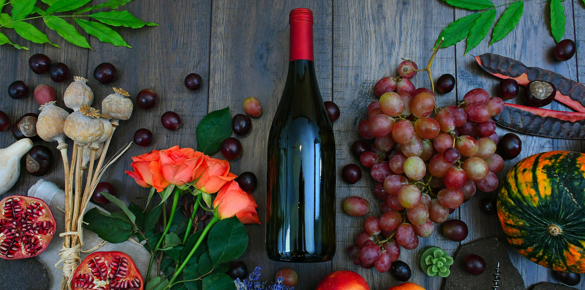 Carole Roche Recipes